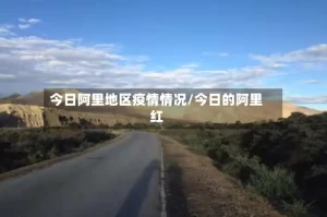 今日阿里地区疫情情况/今日的阿里红