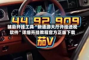辅助开挂工具“新道游大厅开挂透视软件”详细开挂教程官方正版下载