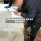 石家庄灵寿地区有疫情吗/石家庄灵寿县是疫区吗
