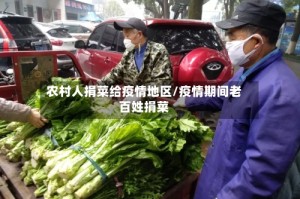 农村人捐菜给疫情地区/疫情期间老百姓捐菜