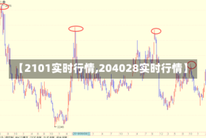 【2101实时行情,204028实时行情】