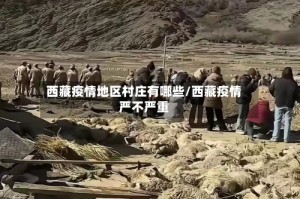 西藏疫情地区村庄有哪些/西藏疫情严不严重
