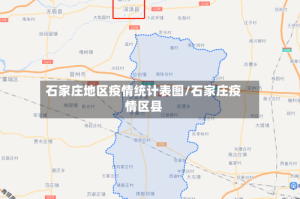 石家庄地区疫情统计表图/石家庄疫情区县