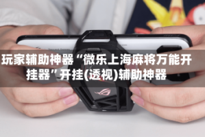 玩家辅助神器“微乐上海麻将万能开挂器”开挂(透视)辅助神器