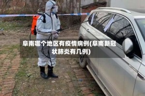 阜南哪个地区有疫情病例(阜南新冠状肺炎有几例)
