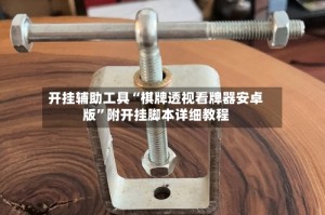 开挂辅助工具“棋牌透视看牌器安卓版”附开挂脚本详细教程