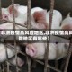 【非洲疫情高风险地区,非洲疫情高风险地区有哪些】