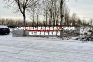 辽宁疫情红码地区在哪查/辽宁疫情红码地区在哪查询