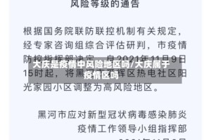 大庆是疫情中风险地区吗/大庆属于疫情区吗