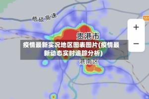 疫情最新实况地区图表图片(疫情最新动态实时追踪分析)