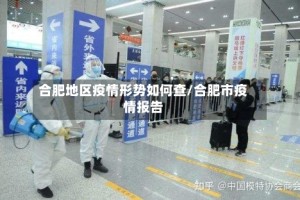 合肥地区疫情形势如何查/合肥市疫情报告