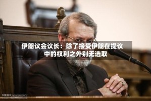 伊朗议会议长：除了接受伊朗在提议中的权利之外别无选取