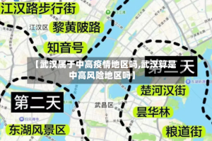 【武汉属于中高疫情地区吗,武汉算是中高风险地区吗】