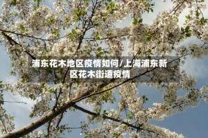 浦东花木地区疫情如何/上海浦东新区花木街道疫情