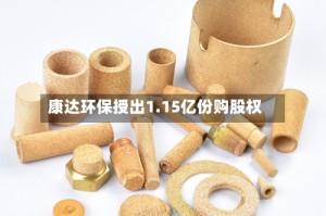 康达环保授出1.15亿份购股权