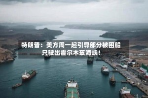 特朗普：美方周一起引导部分被困船只驶出霍尔木兹海峡！