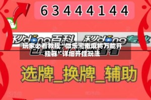 玩家必看教程“微乐河南麻将万能开挂器”详细开挂玩法
