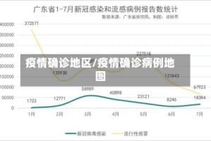 疫情确诊地区/疫情确诊病例地图
