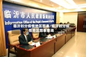 临沂划分疫情地区图表/临沂划分疫情地区图表查询