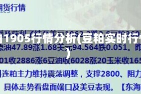 豆粕1905行情分析(豆粕实时行情)