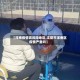 【浑南疫情高风险地区,沈阳市浑南区疫情严重吗】