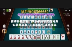 辅助开挂教程“微乐必赢辅助器免费安装苹果版”开挂(透视)辅助神器