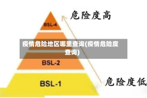 疫情危险地区哪里查询(疫情危险度查询)