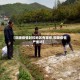 【铜陵疫情封控地区有哪些,铜陵疫情严重吗】