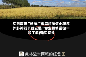 实测教程“雀神广东麻将微信小程序外卦神器下载安装”专业师傅带你一起了解(确实有挂