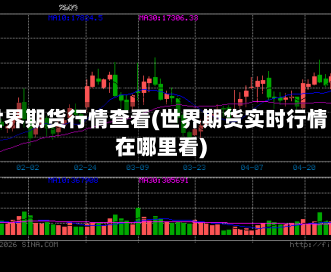 世界期货行情查看(世界期货实时行情在哪里看)