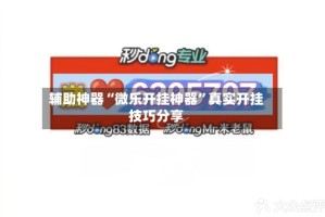 辅助神器“微乐开挂神器”真实开挂技巧分享