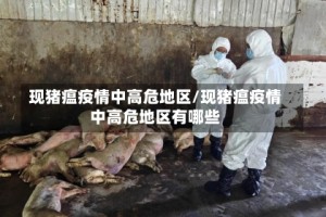 现猪瘟疫情中高危地区/现猪瘟疫情中高危地区有哪些