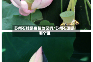 苏州石牌是疫情地区吗/苏州石湖是哪个区