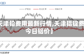 【天津铅费用最新行情,天津铝锭费用今日铝价】