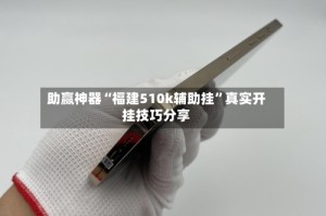 助赢神器“福建510k辅助挂”真实开挂技巧分享