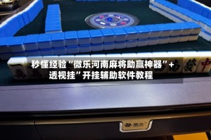 秒懂经验“微乐河南麻将助赢神器”+透视挂”开挂辅助软件教程