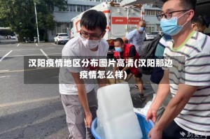 汉阳疫情地区分布图片高清(汉阳那边疫情怎么样)