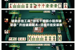 辅助开挂工具“微乐干瞪眼小程序辅助器”开挂辅助脚本+详细开挂安装教程