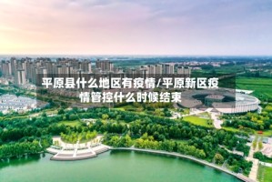 平原县什么地区有疫情/平原新区疫情管控什么时候结束