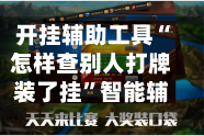 开挂辅助工具“怎样查别人打牌装了挂”智能辅助工具使用教程