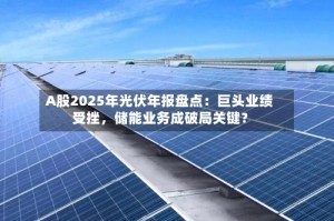 A股2025年光伏年报盘点：巨头业绩受挫，储能业务成破局关键？