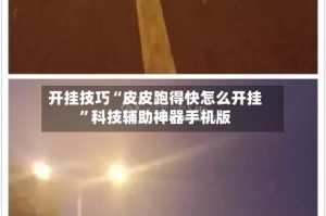 开挂技巧“皮皮跑得快怎么开挂”科技辅助神器手机版