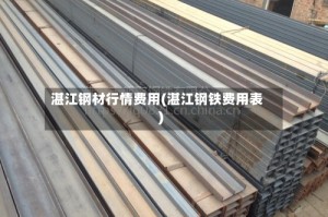 湛江钢材行情费用(湛江钢铁费用表)