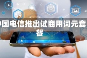 中国电信推出试商用词元套餐
