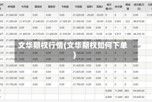 文华期权行情(文华期权如何下单)
