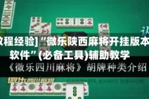 [教程经验]“微乐陕西麻将开挂版本软件”(必备工具)辅助教学