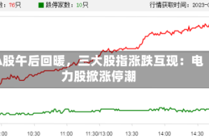 A股午后回暖，三大股指涨跌互现：电力股掀涨停潮