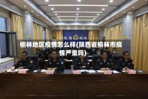 榆林地区疫情怎么样(陕西省榆林市疫情严重吗)