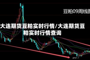大连期货豆粕实时行情/大连期货豆粕实时行情查询