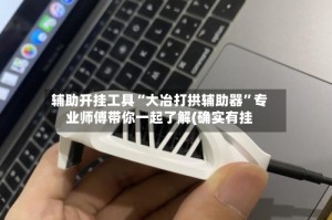 辅助开挂工具“大冶打拱辅助器”专业师傅带你一起了解(确实有挂